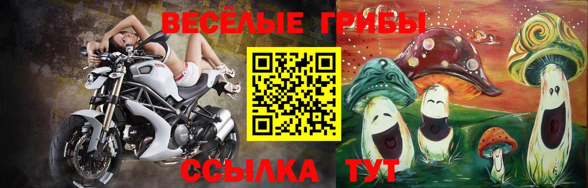 Псилоцибиновые грибы GOLDEN TEACHER Коркино